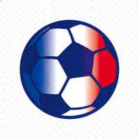 法国足球队官网 Logo - 高卢雄鸡标志